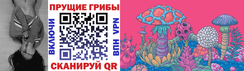 Псилоцибиновые грибы мухоморы  купить   Керчь 